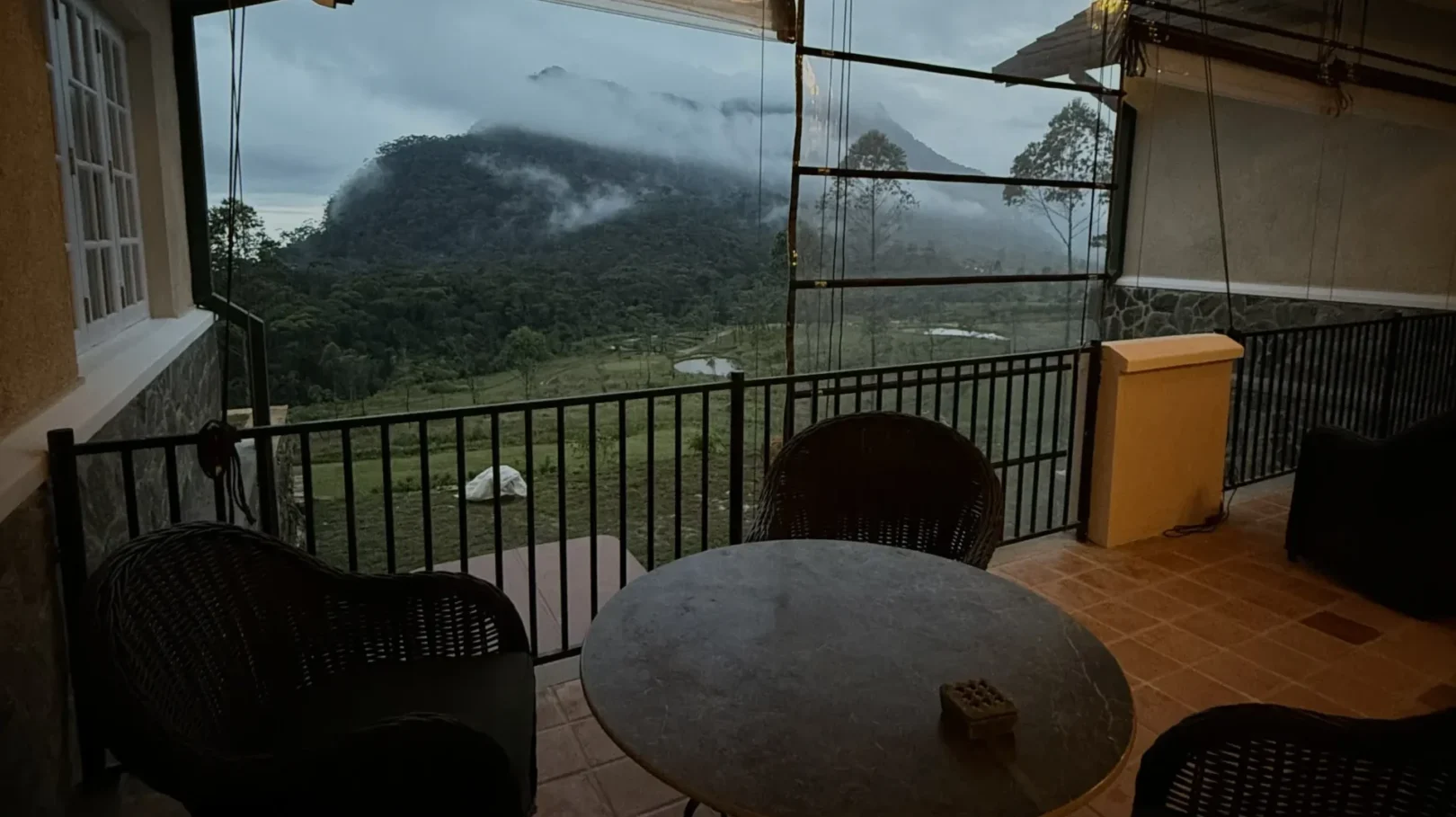 Tea With Altitude: Sipping from Sri Lanka’s Heart